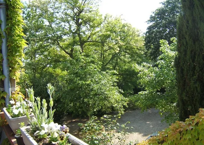 D'hotes Domaine D'en Baleux Labruguière