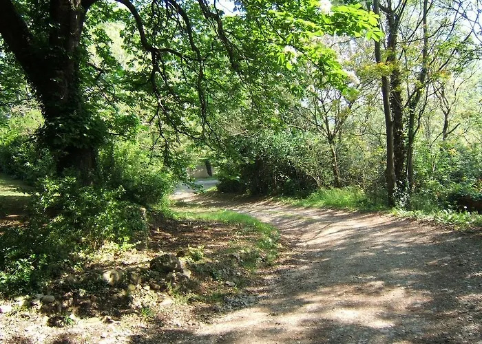 D'hotes Domaine D'en Baleux